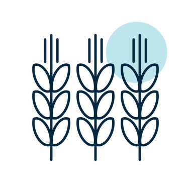 Dikenler ve buğday taneleri izole edilmiş ikon. Tarım işareti. Web sitenizin tasarımı için grafik sembolü, logo, uygulama, UI. Vektör illüstrasyonu, EPS10.