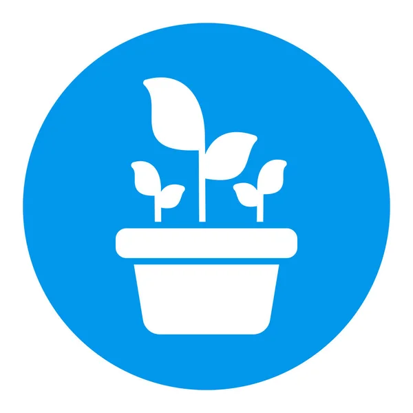 Növény Pot Izolált Vektor Glifikus Ikon Grafikon Szimbólum Mezőgazdaság Kert — Stock Vector