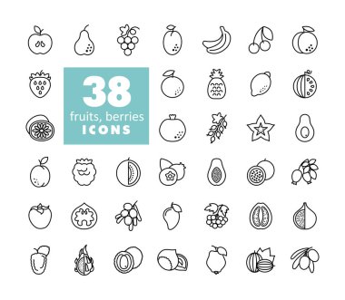 Set of Fruits and Berries vector icon. Graph symbol for food and drinks web site, apps design, mobile apps and print media, logo, UI