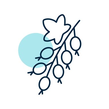 Currant berry vector icon. Graph symbol for food and drinks web site, apps design, mobile apps and print media, logo, UI