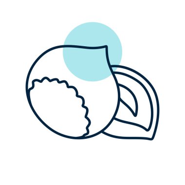 Hazelnut vector icon. Graph symbol for food and drinks web site, apps design, mobile apps and print media, logo, UI