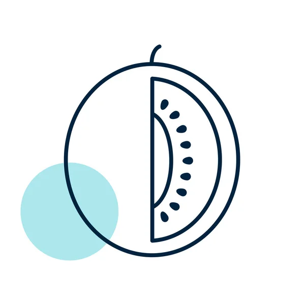 Melon Vector Icon Graph Symbol Food Drinks Web Site Apps — Stockový vektor