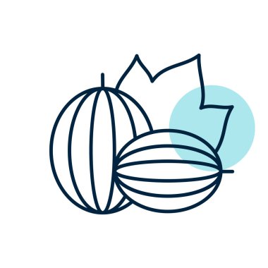 Gooseberries vector icon. Graph symbol for food and drinks web site, apps design, mobile apps and print media, logo, UI