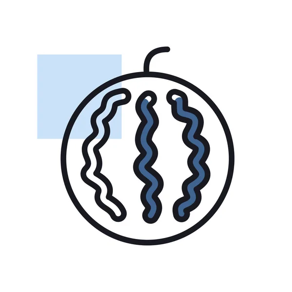 Watermelon Isolated Icon Agriculture Sign Graph Symbol Your Web Site — ストックベクタ