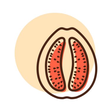 Guava tropikal meyve vektörü izole edilmiş ikon. Gıda ve içecek web sitesi için grafik sembolü, uygulama tasarımı, mobil uygulamalar ve yazdırma ortamı, logo, UI