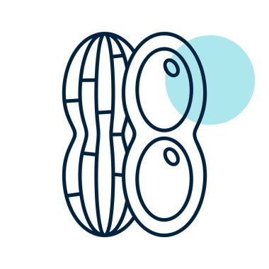 Peanut tasarım vektör simgesi izole edildi. Sebze işareti. Gıda ve içecek web sitesi için grafik sembolü, uygulama tasarımı, mobil uygulamalar ve yazdırma ortamı, logo, UI