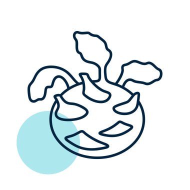 Kohlrabi veya Alman şalgam ikonu izole edildi. Sebze işareti. Gıda ve içecek web sitesi için grafik sembolü, uygulama tasarımı, mobil uygulamalar ve yazdırma ortamı, logo, UI