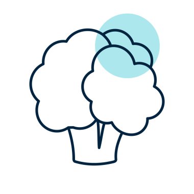 Karnabahar izole vektör simgesi. Sebze işareti. Gıda ve içecek web sitesi için grafik sembolü, uygulama tasarımı, mobil uygulamalar ve yazdırma ortamı, logo, UI