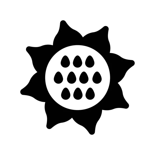 Sonnenblume Isolierte Vektor Glyphen Symbol Gemüseschild Grafik Symbol Für Lebensmittel — Stockvektor