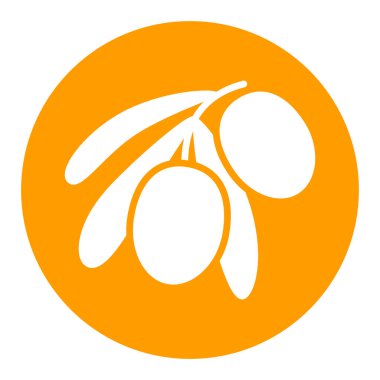 Zeytin dalı, yapraklar ve zeytin vektörü sembolü. Gıda ve içecek web sitesi için grafik sembolü, uygulama tasarımı, mobil uygulamalar ve yazdırma ortamı, logo, UI