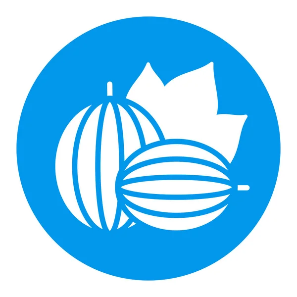 Ikona Vektorového Glyfu Angrešt Grafický Symbol Pro Potraviny Nápoje Webové — Stockový vektor