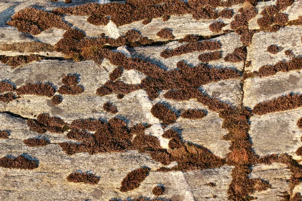 Texture of natural stone — Stock Photo, Image