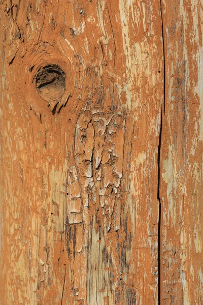 Textura de madeira — Fotografia de Stock