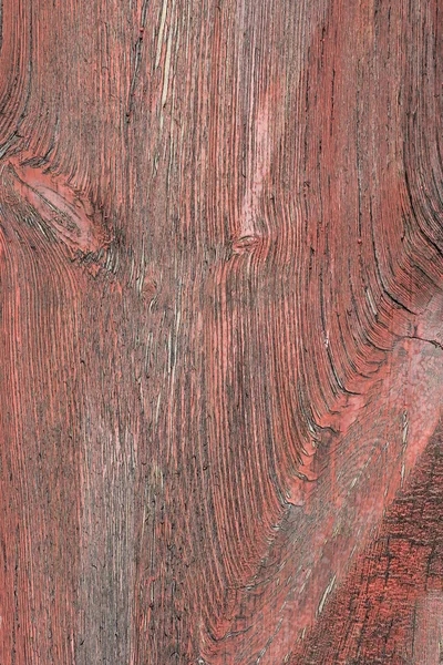 Texture of wood — Stock Photo, Image