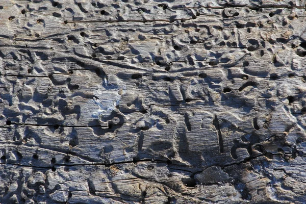 Textura de madeira — Fotografia de Stock