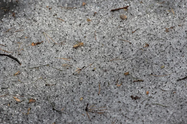 Konsistens av smutsig snö — Stockfoto