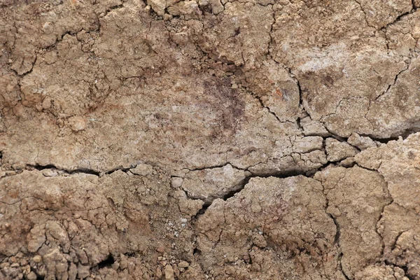 Textur av torr jord — Stockfoto
