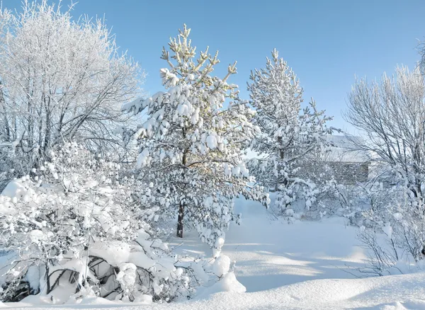 Paysage hivernal Photo De Stock