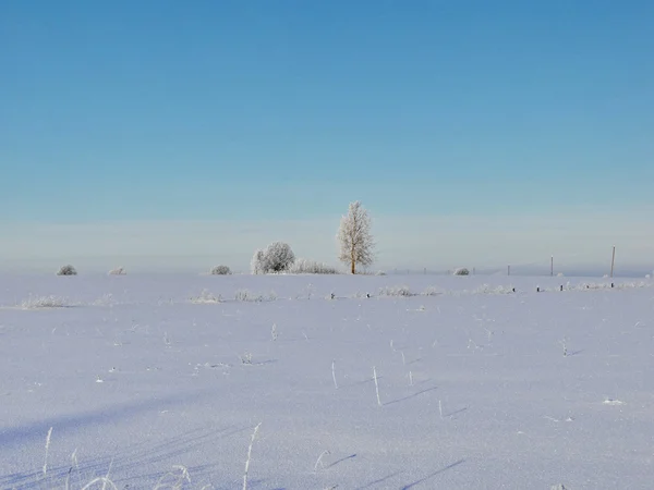 Paisaje en frío día de invierno — Foto de Stock