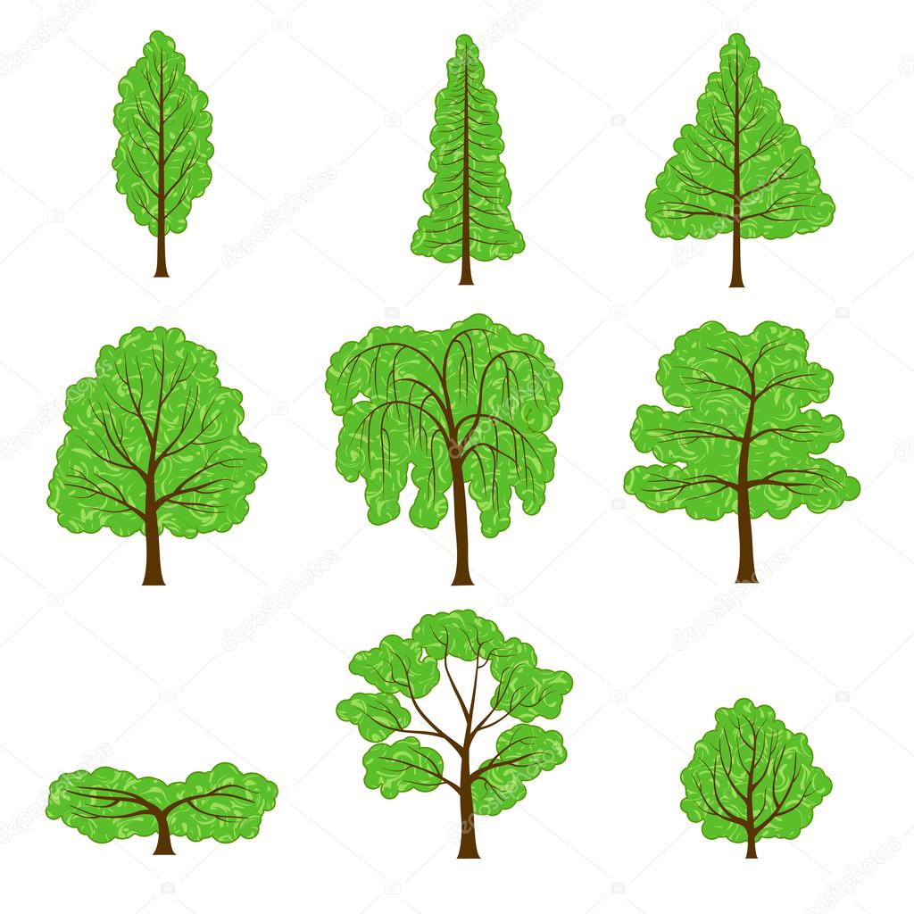 Set different crown of a trees isolated on white