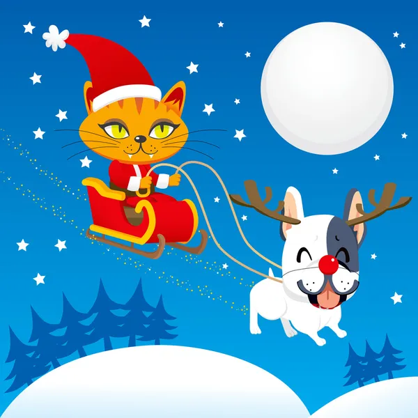 Santa gato trineo — Vector de stock