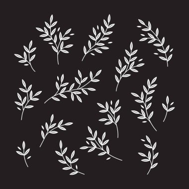 Grafik stili izole edilmiş vektör illüstrasyonunda el çizimi dallar kümesi.