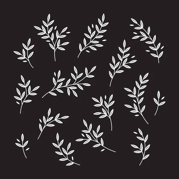 Hand Drawn Set Branches Silhouettes Graphic Style Isolated Vector Illustration — Stock vektor