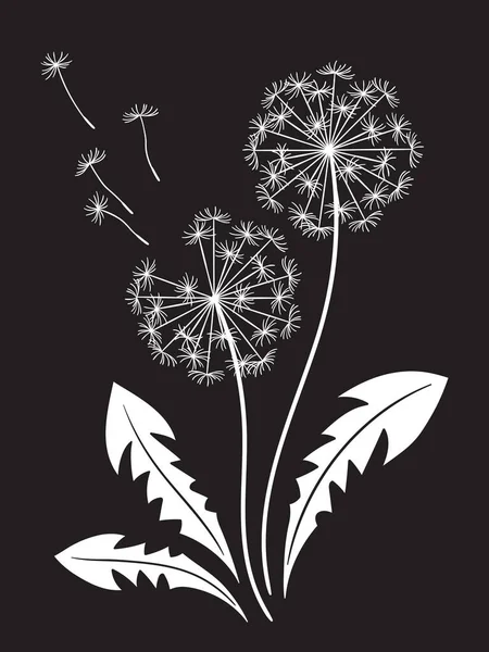Hand Drawn Ornate Dandelions Silhouettes Graphic Style Isolated Vector Illustration — Stockový vektor