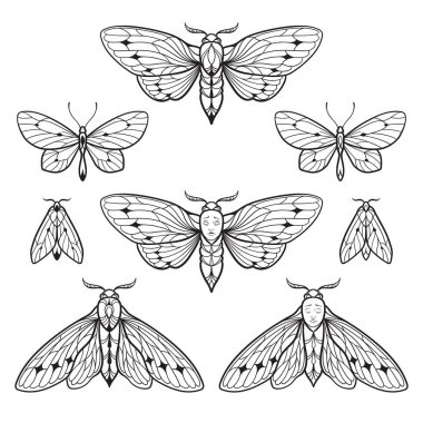 Moths and butterflies hand drawn line art gothic tattoo design set isolated vector illustration.