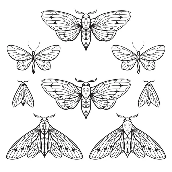 Moths Butterflies Hand Drawn Line Art Gothic Tattoo Design Set — Stok Vektör