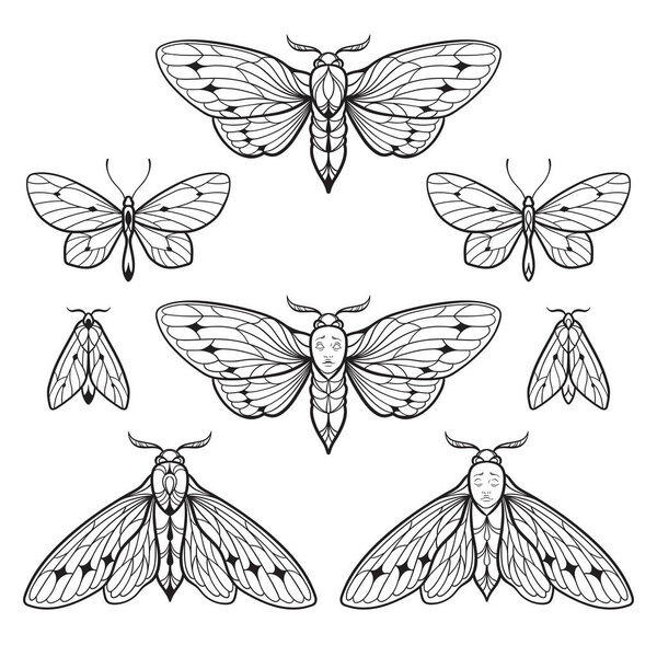 Moths and butterflies hand drawn line art gothic tattoo design set isolated vector illustration.