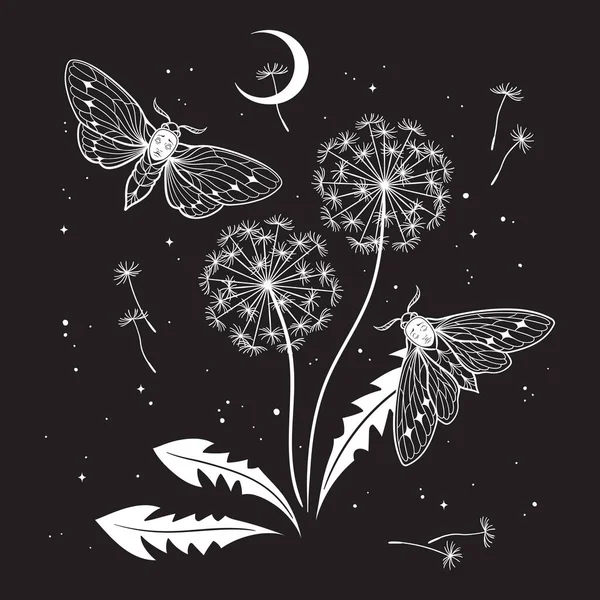 Hand Drawn Gothic Night Scene Moths Dandelions Silhouettes Graphic Style — Vetor de Stock