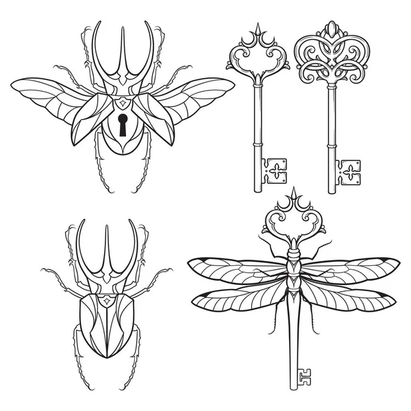 Ensemble Clés Squelette Cadenas Insectes Libellule Dans Des Pages Livres — Image vectorielle