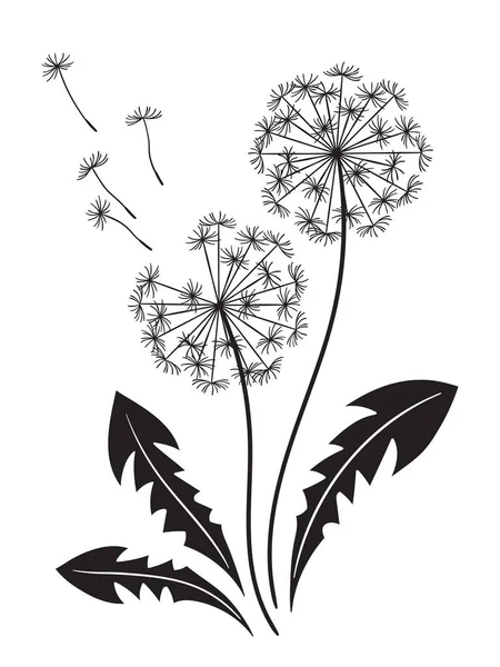 Hand Drawn Ornate Dandelions Silhouettes Graphic Style Isolated Vector Illustration — Image vectorielle