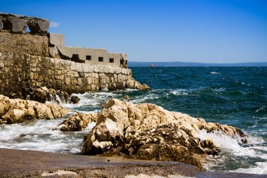 Bir kayanın üzerindeki martılar