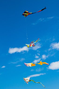 Uçurtmalar gökyüzünde uçuyor