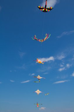 Uçurtmalar gökyüzünde uçuyor