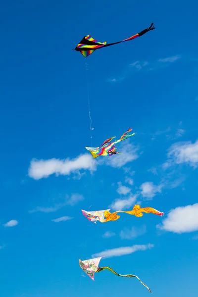 Drachen fliegen am Himmel — Stockfoto