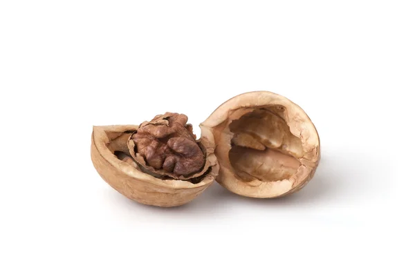Ořechové skořápce — Stock fotografie