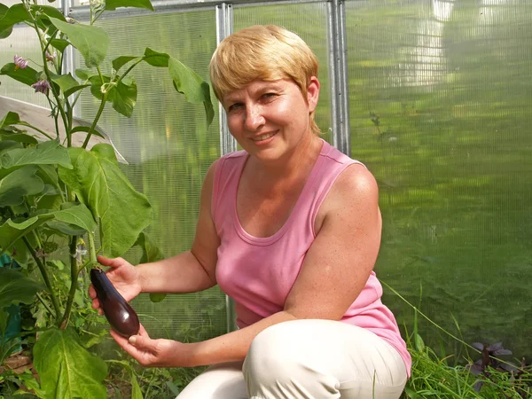 The woman holds an eggplant — Stock Photo, Image