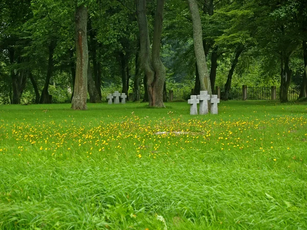 Il territorio di un cimitero militare tedesco della Prima guerra mondiale nella città di Primorsk della regione di Kaliningrad — Foto Stock