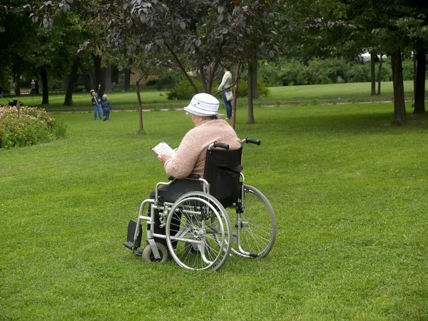 The woman in a wheelchair reads the book — Stock Photo, Image