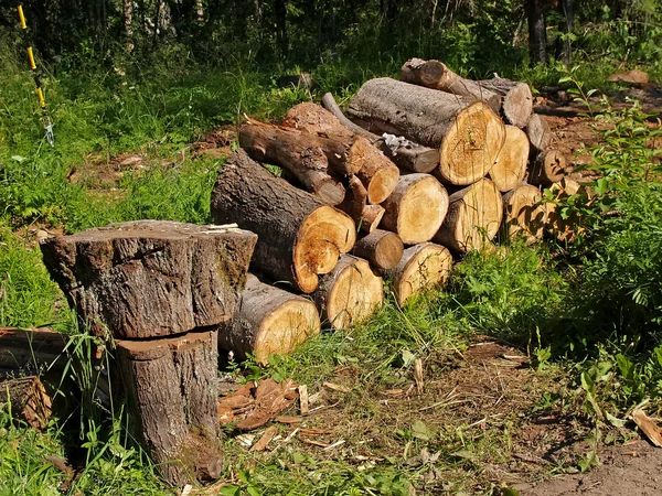 Zubereitung von Brennholz — Stockfoto