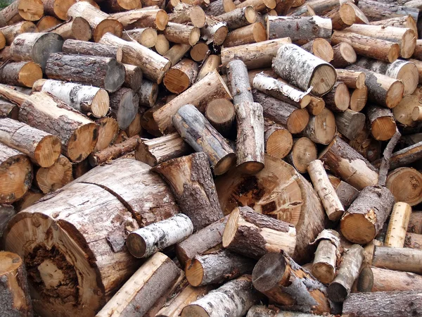 La legna da ardere scaricata — Foto Stock