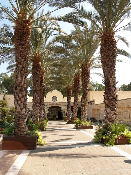 Israël Palmovaya Avenue dans le territoire Yordenita — Photo