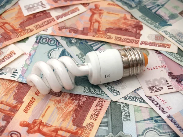 A pequena lâmpada economiza muito dinheiro — Fotografia de Stock