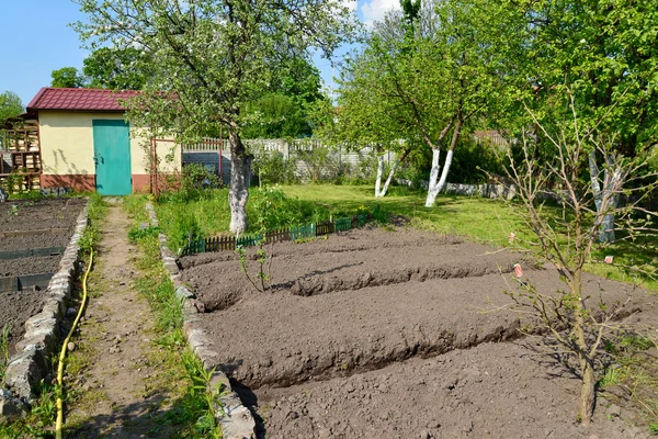 Garden section in the spring — Stock Photo, Image