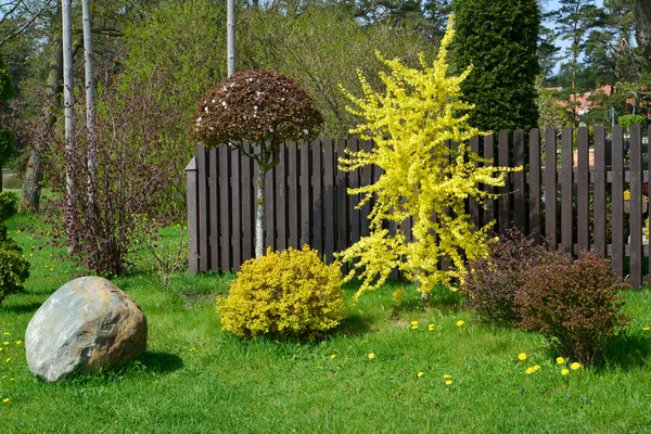 Landskapsplanering för ett hus på landet — Stockfoto