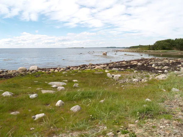 Берег Белого моря на острове Большие Савки, Россия — стоковое фото