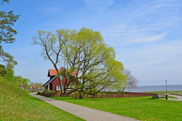 La maison rurale parmi les vieux arbres. Nida, Lituanie — Photo